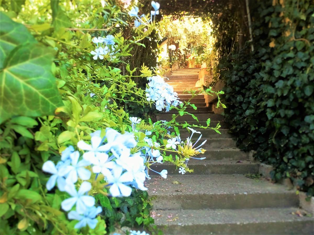 Bed and Breakfast Delle Rose Cefalù Exteriér fotografie