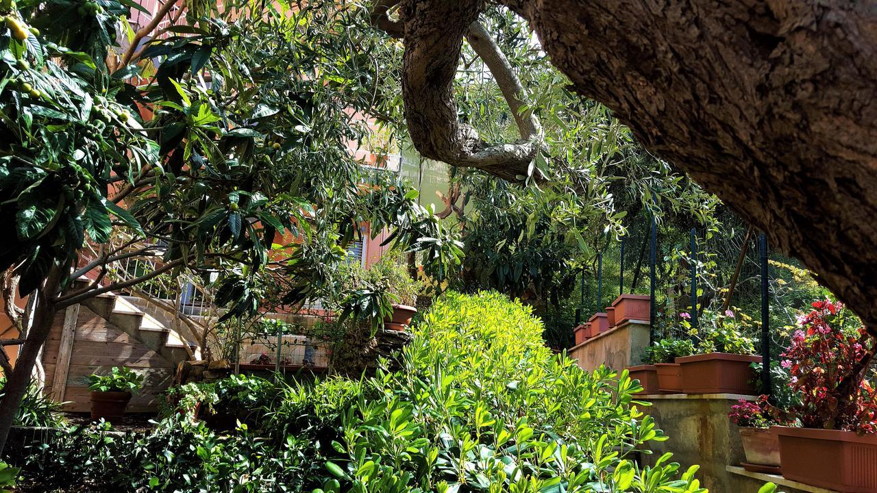 Bed and Breakfast Delle Rose Cefalù Exteriér fotografie