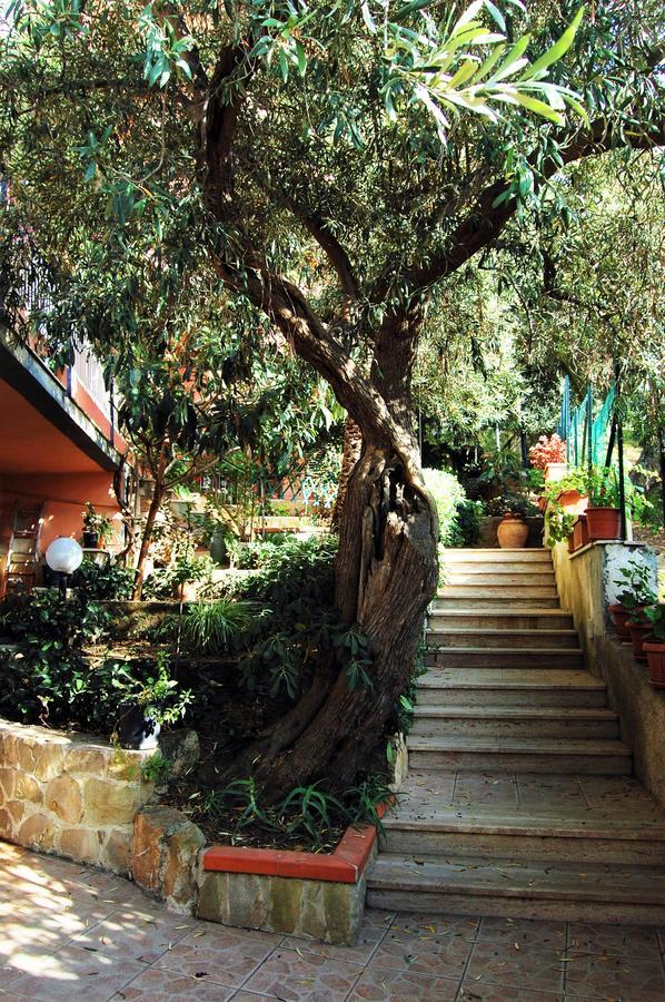Bed and Breakfast Delle Rose Cefalù Exteriér fotografie