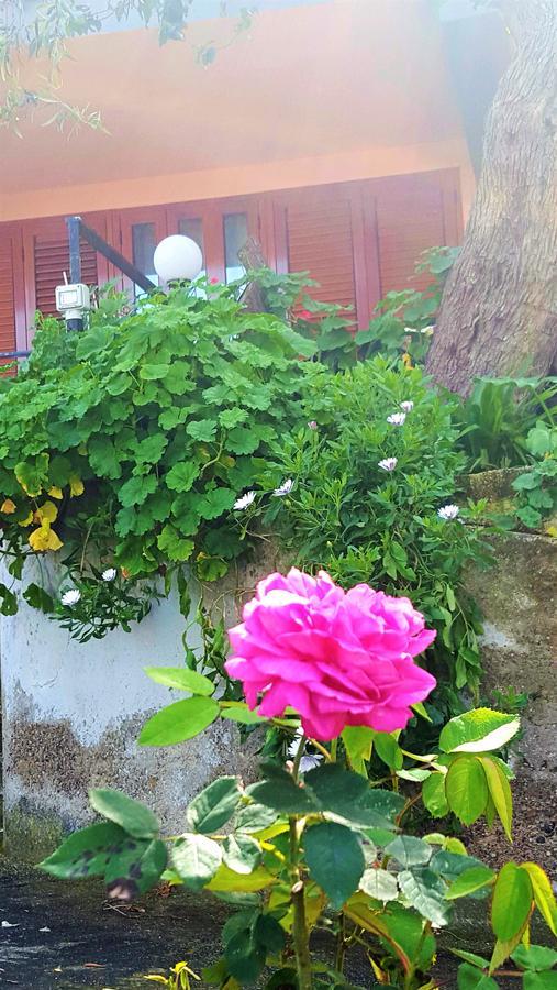 Bed and Breakfast Delle Rose Cefalù Exteriér fotografie